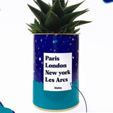 Plante Paris, London, New York personnalisable - Plante Haworthia varié