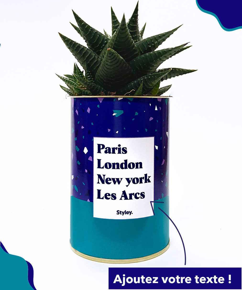 Plante Paris, London, New York personnalisable - Cactus