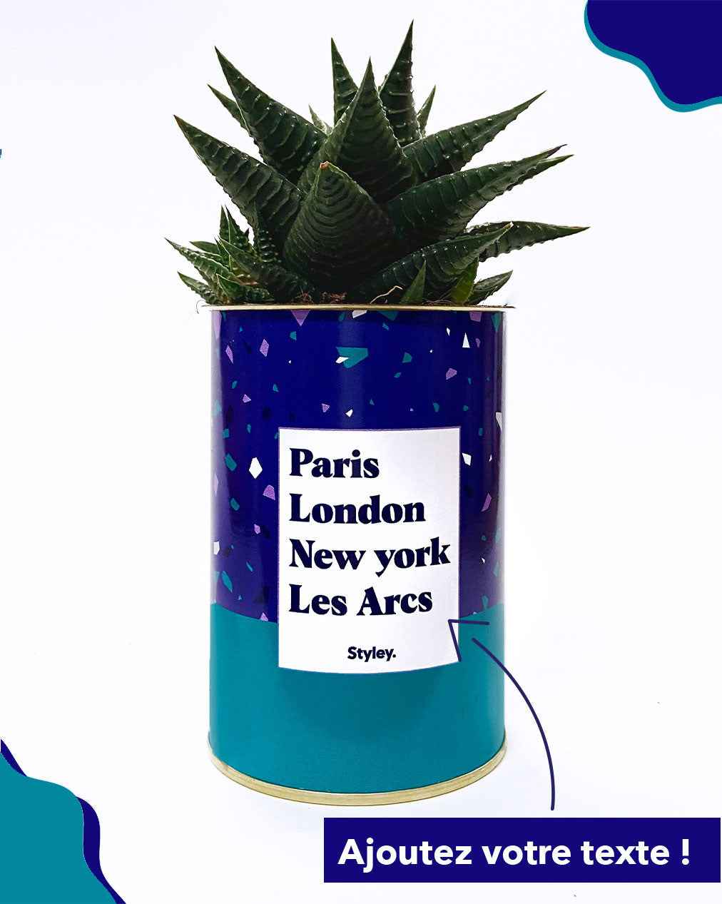 Plante Paris, London, New York personnalisable - Cactus