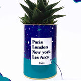 Plante Paris, London, New York personnalisable - Cactus