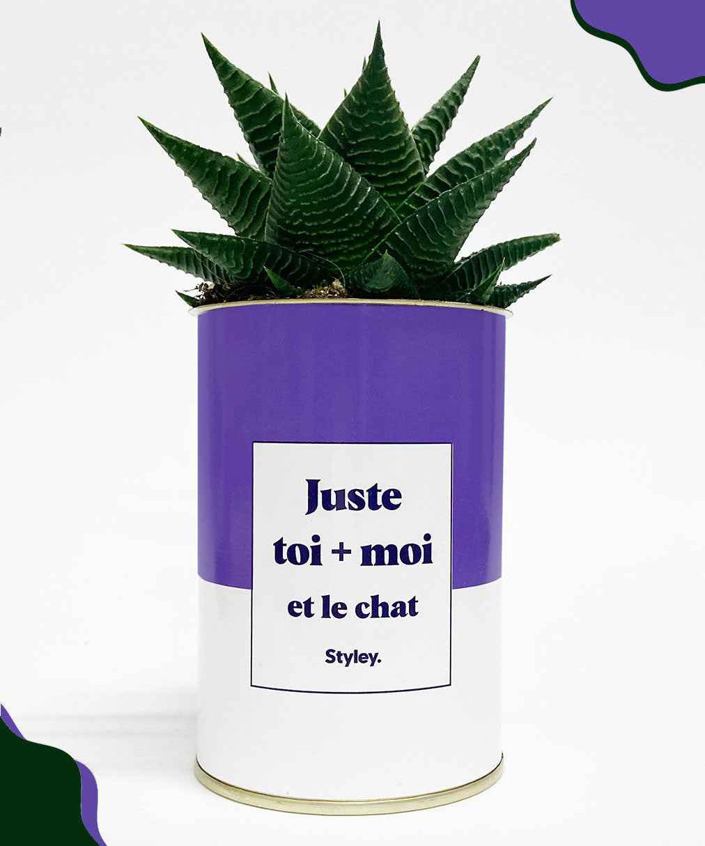 Toi + moi et le chat - Cactus
