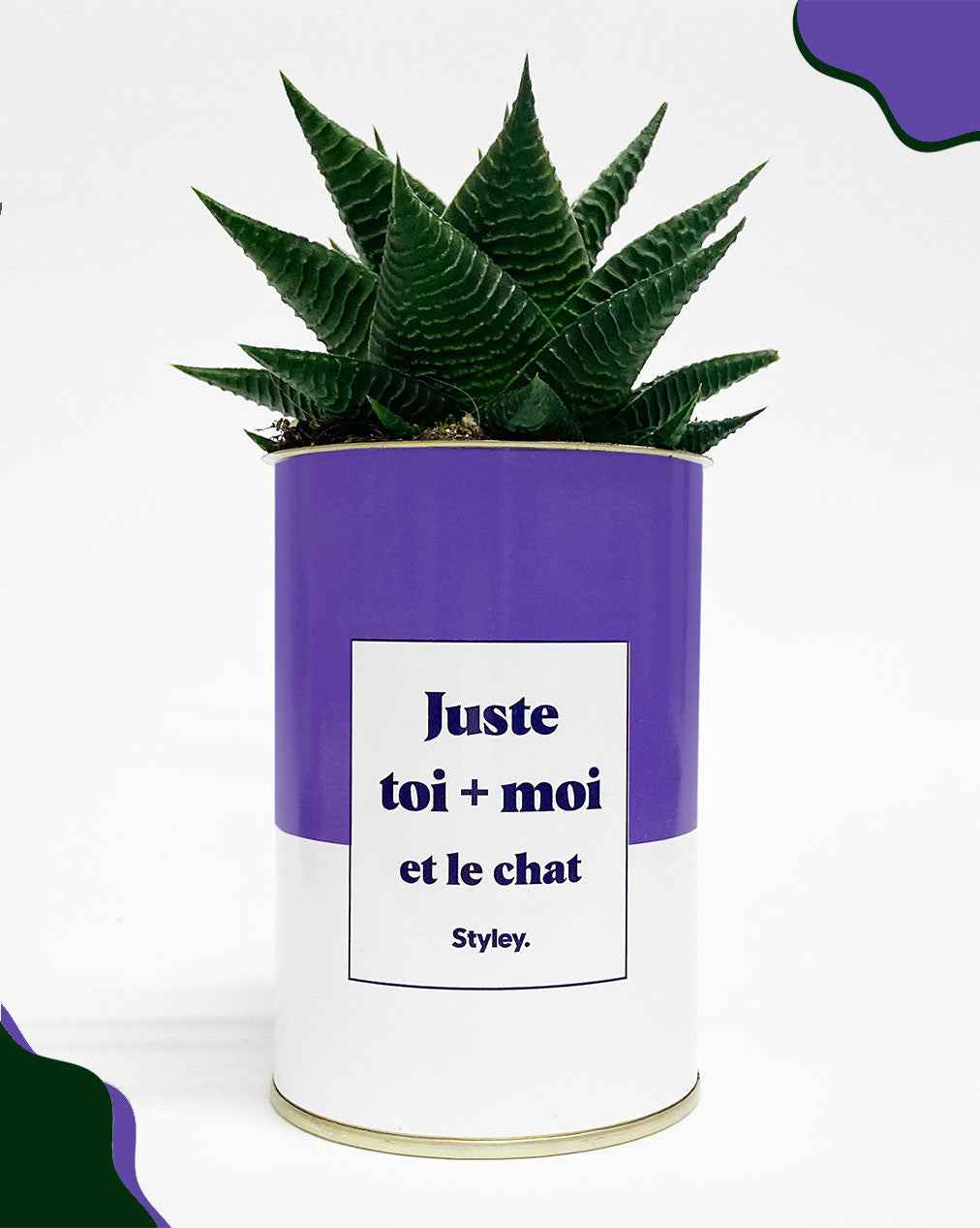 Toi + moi et le chat - Cactus
