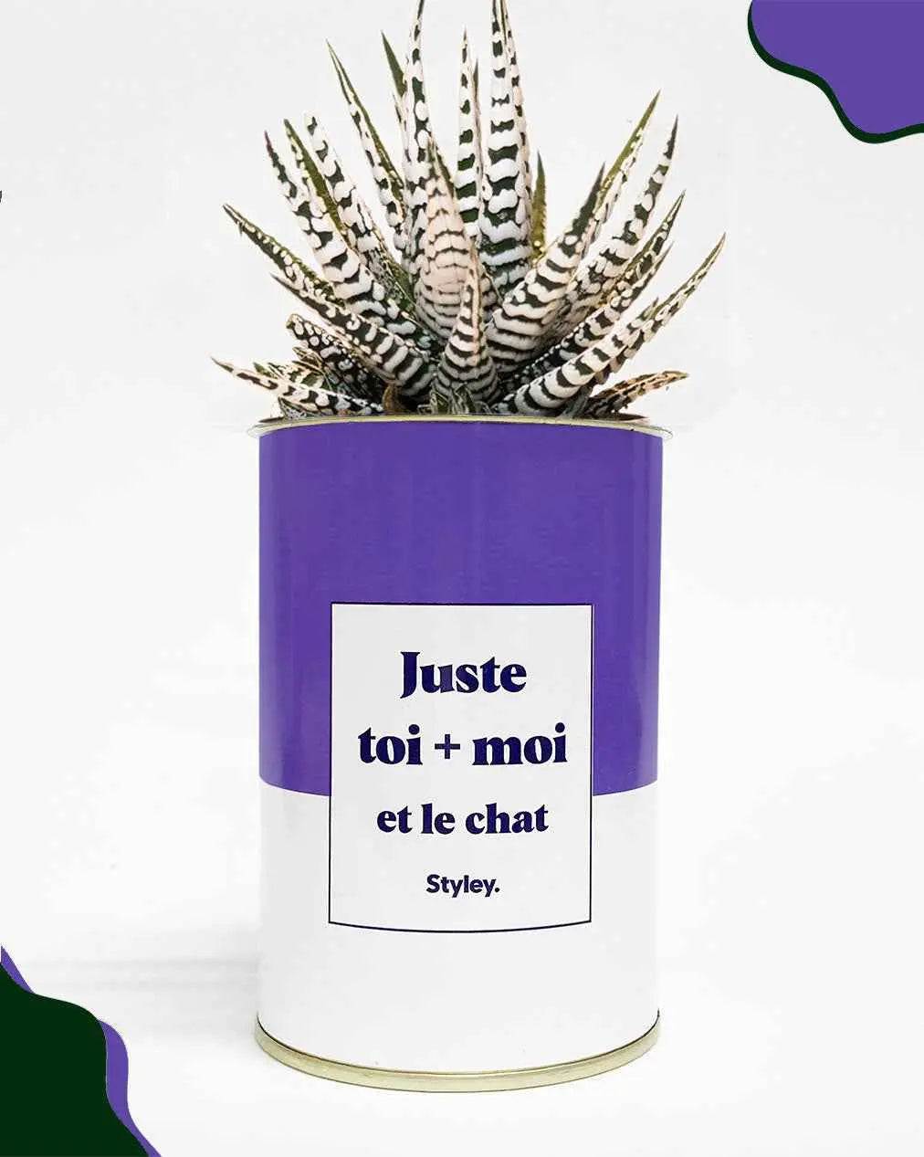 Toi + moi et le chat - Plante