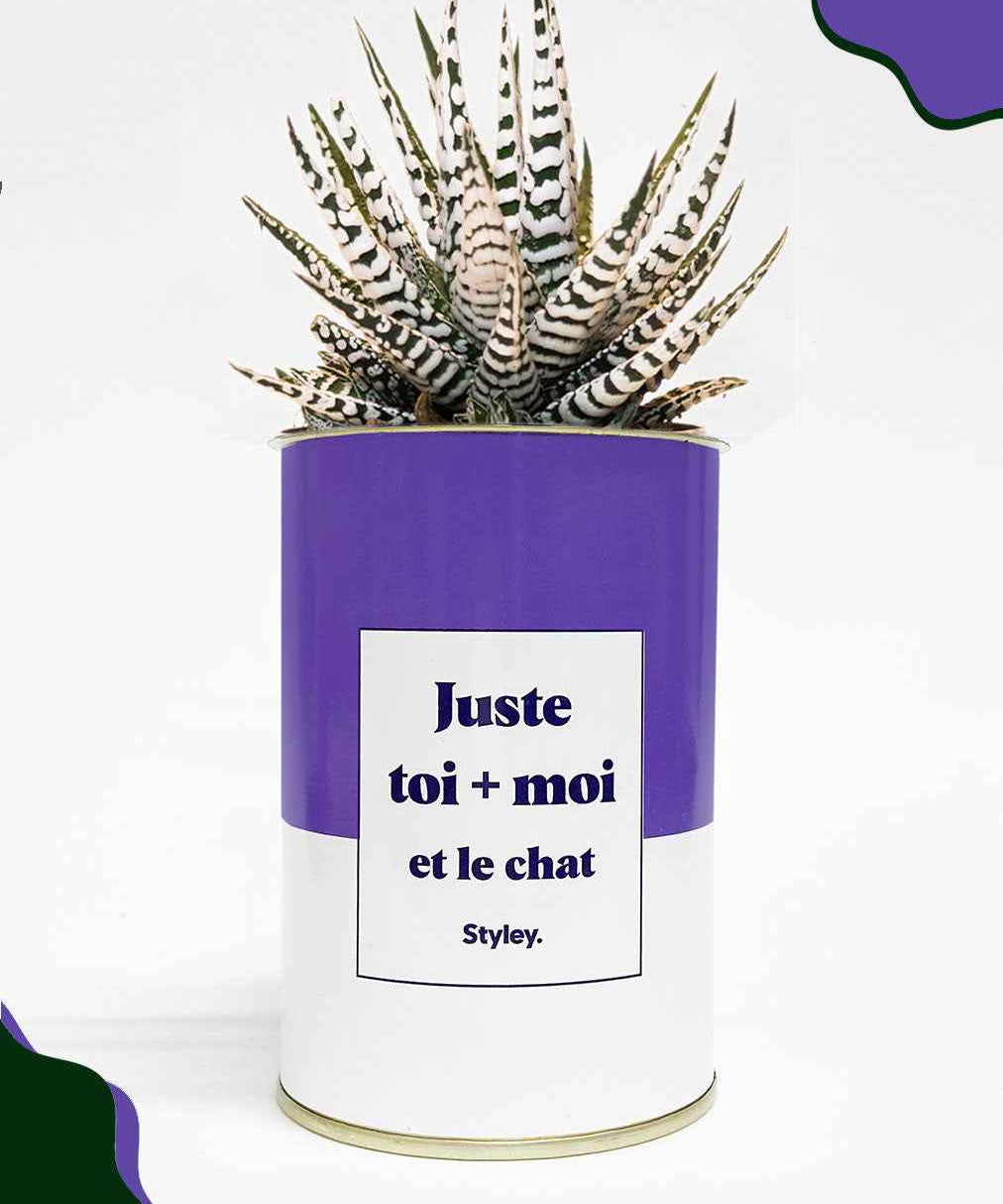 Toi + moi et le chat - Cactus