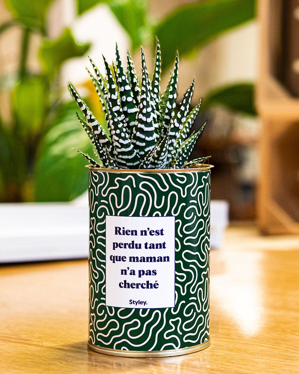 Rien n'est perdu tant que maman n'a pas cherché - Cactus