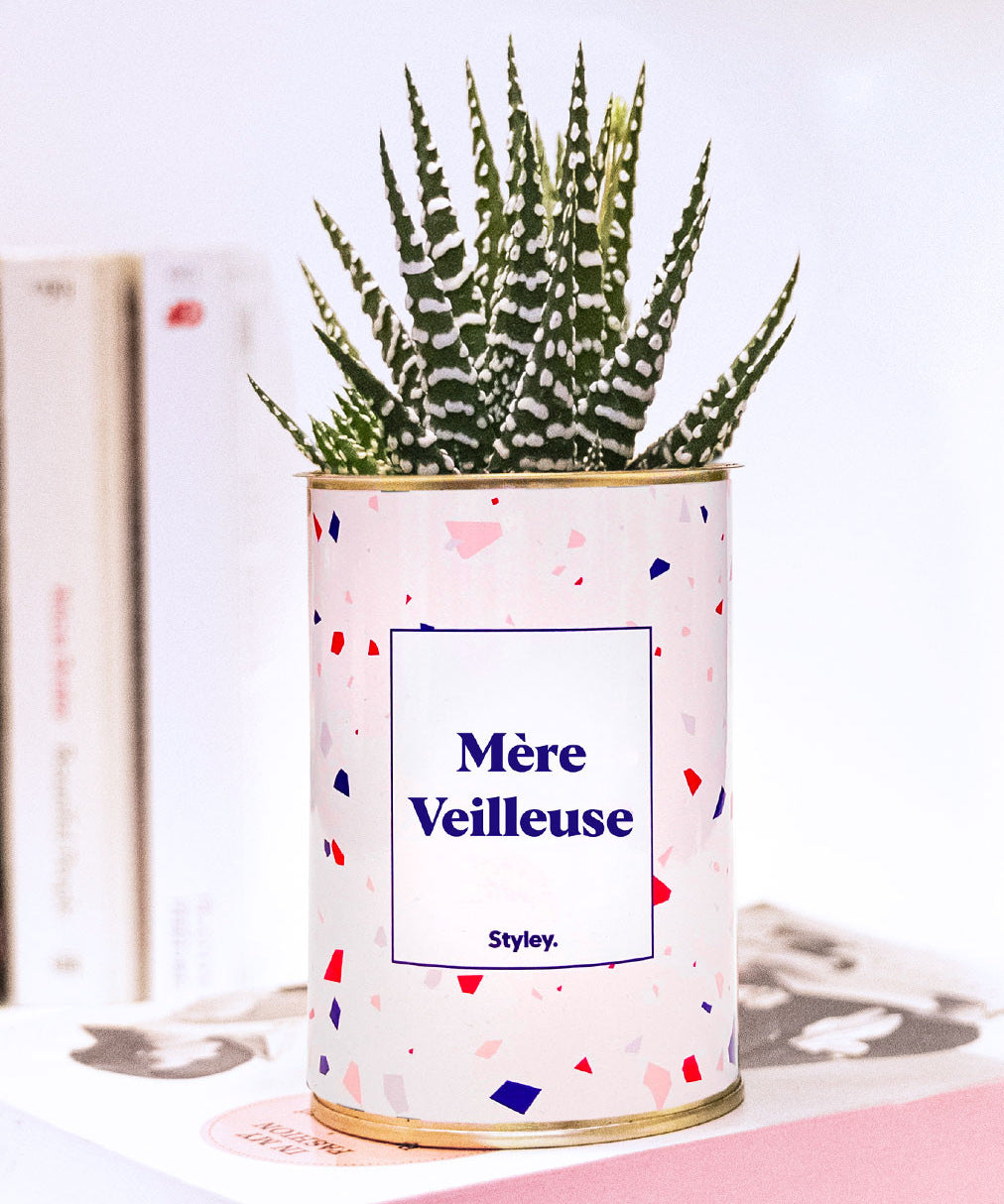 Mère Veilleuse - Cactus
