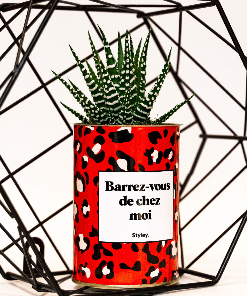 Barrez-vous de chez moi - Cactus