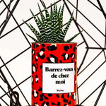 Barrez-vous de chez moi - Plante Haworthia varié