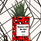 Barrez-vous de chez moi - Plante Haworthia varié