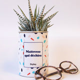 Maîtresse qui déchire - Cactus