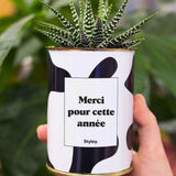 Merci pour cette année - Plante Haworthia varié