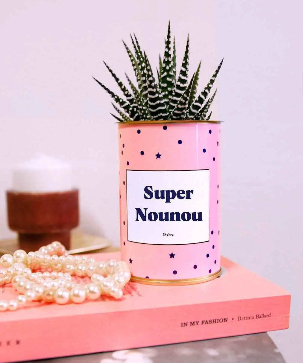 Super Nounou - Plante Haworthia varié