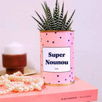 Super Nounou - Plante Haworthia varié
