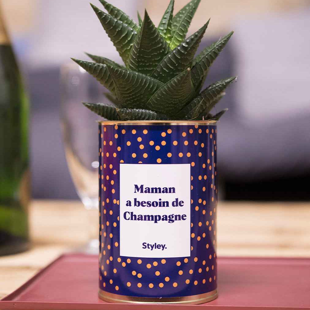 Maman a besoin de champagne - Cactus