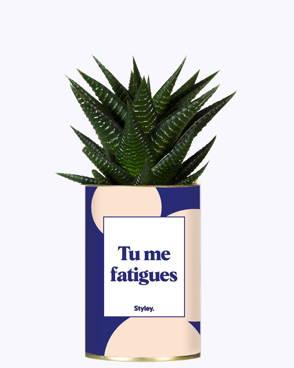 Tu me fatigues - Cactus