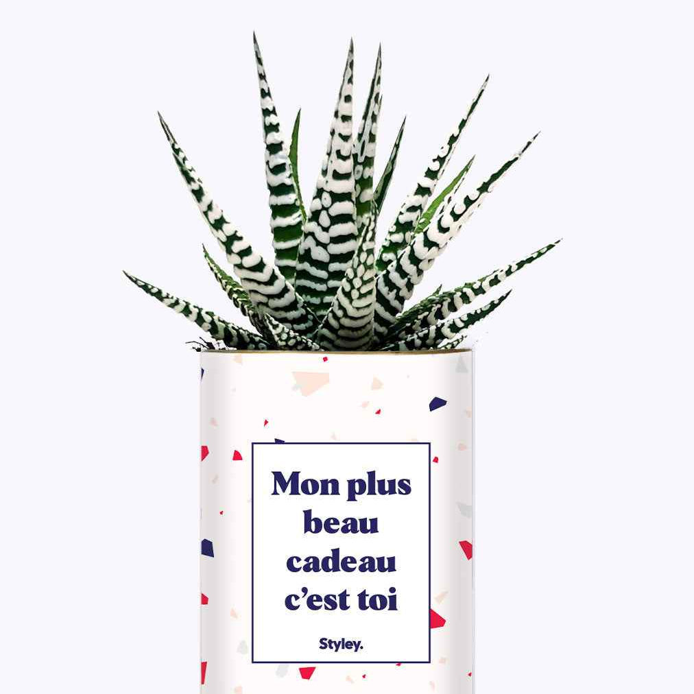 Mon plus beau cadeau c'est toi - Cactus
