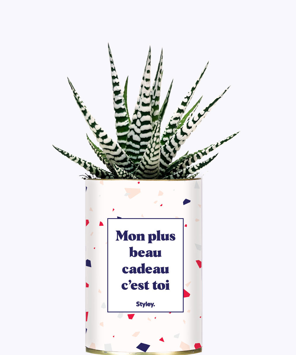 Mon plus beau cadeau c'est toi - Cactus