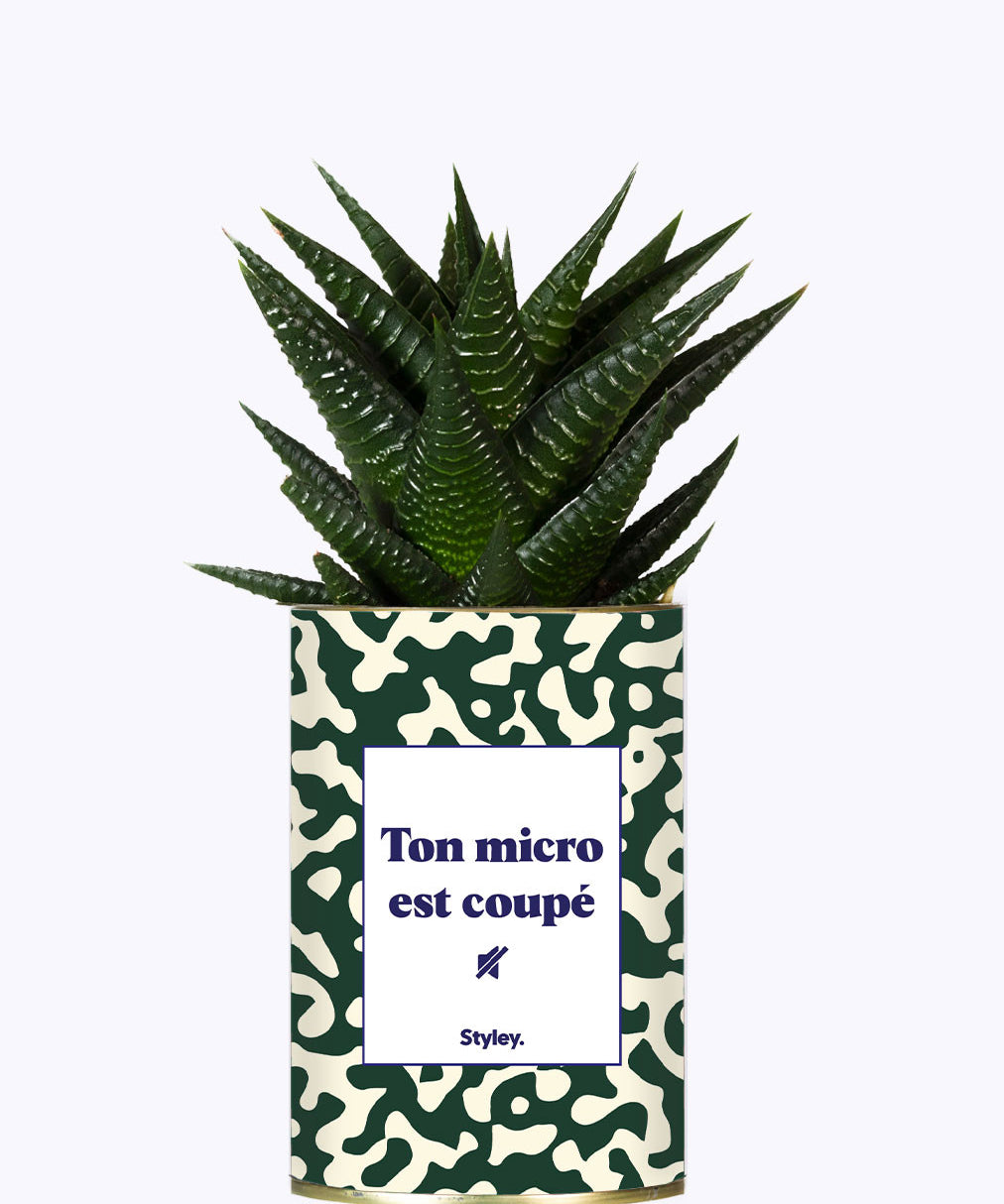 Ton micro est coupé - Cactus