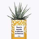 Tout le monde te déteste au bureau - Plante Haworthia varié