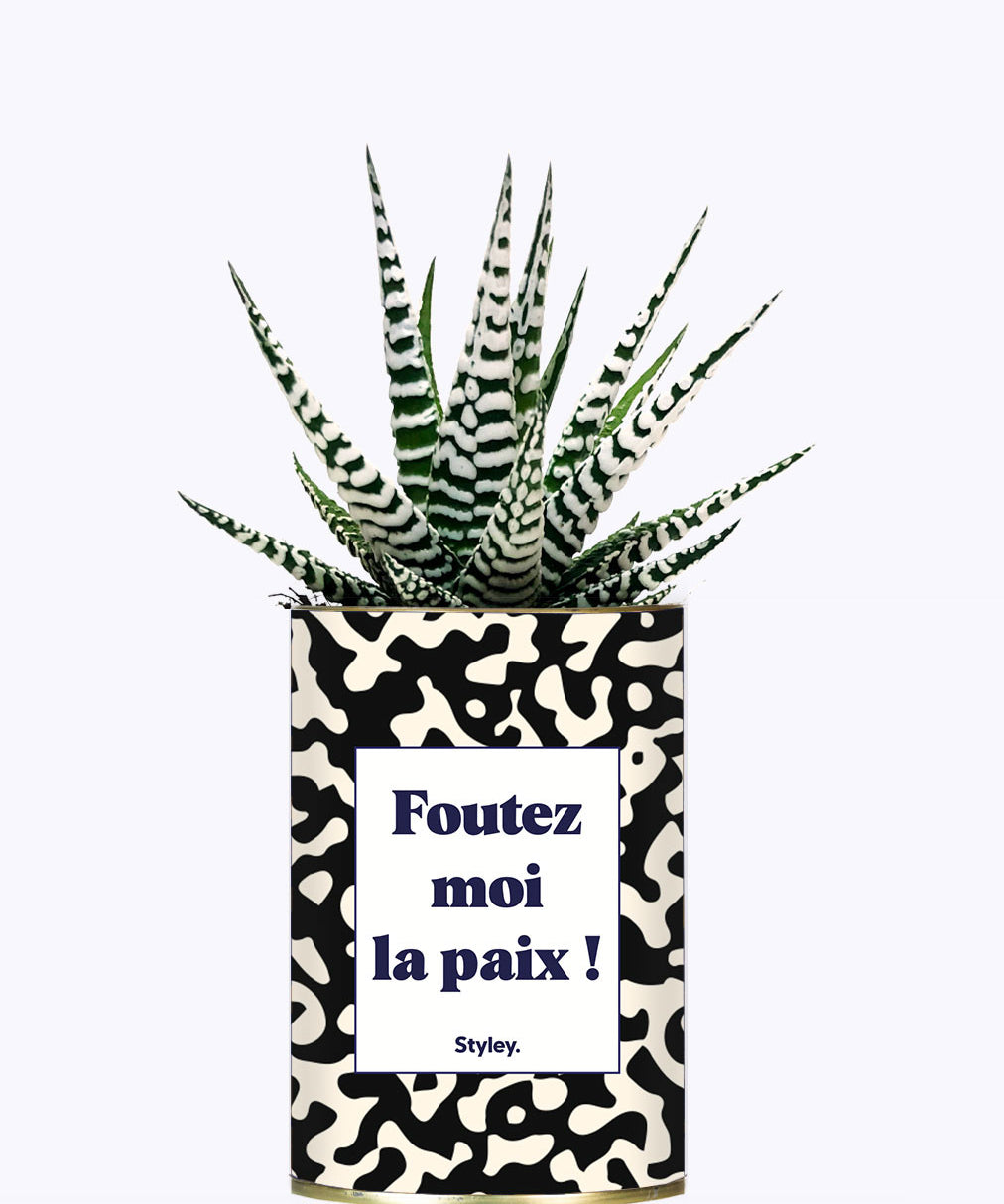 Foutez moi la paix  - Cactus