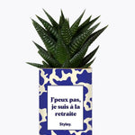 J'peux pas, je suis à la retraite - Plante Haworthia varié