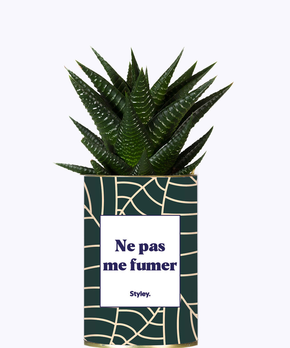 Ne pas me fumer - Cactus