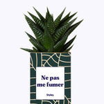Ne pas me fumer - Cactus