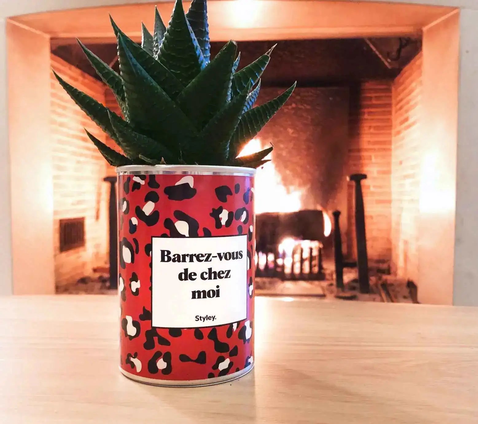 Barrez-vous de chez moi - Plante