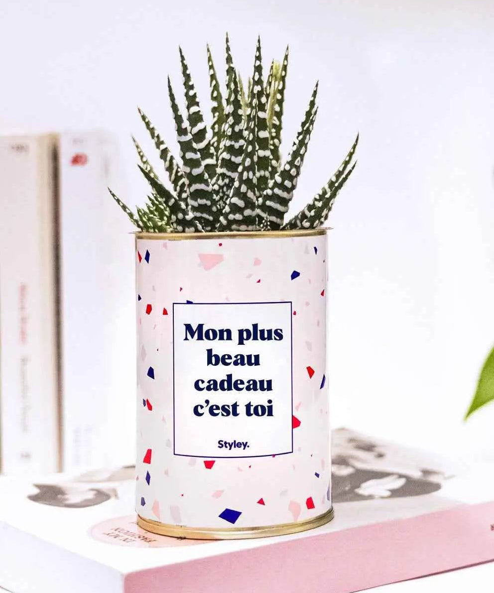 Mon plus beau cadeau c'est toi - Plante