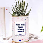 Mon plus beau cadeau c'est toi - Plante