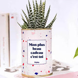Mon plus beau cadeau c'est toi - Plante