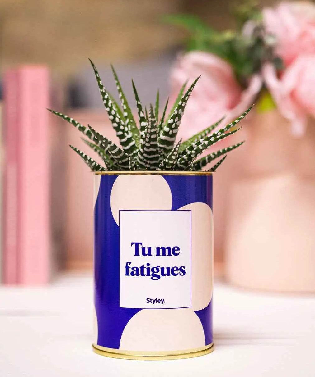 Tu me fatigues - Plante