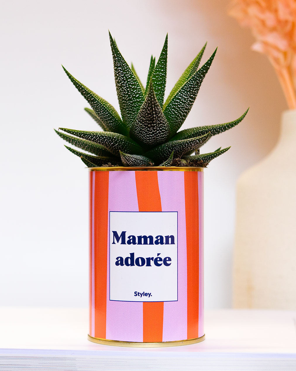 Maman adorée - Cactus