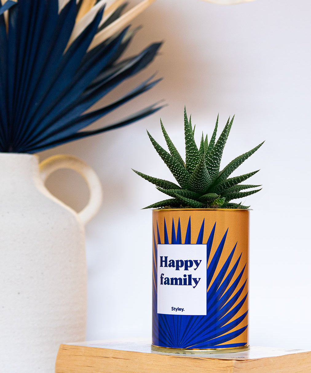 Happy family - Cactus