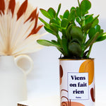 Viens on fait rien - Cactus
