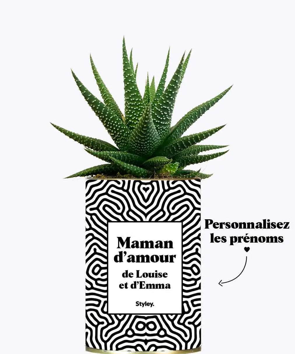 Maman d'amour personnalisable - Plante Haworthia varié
