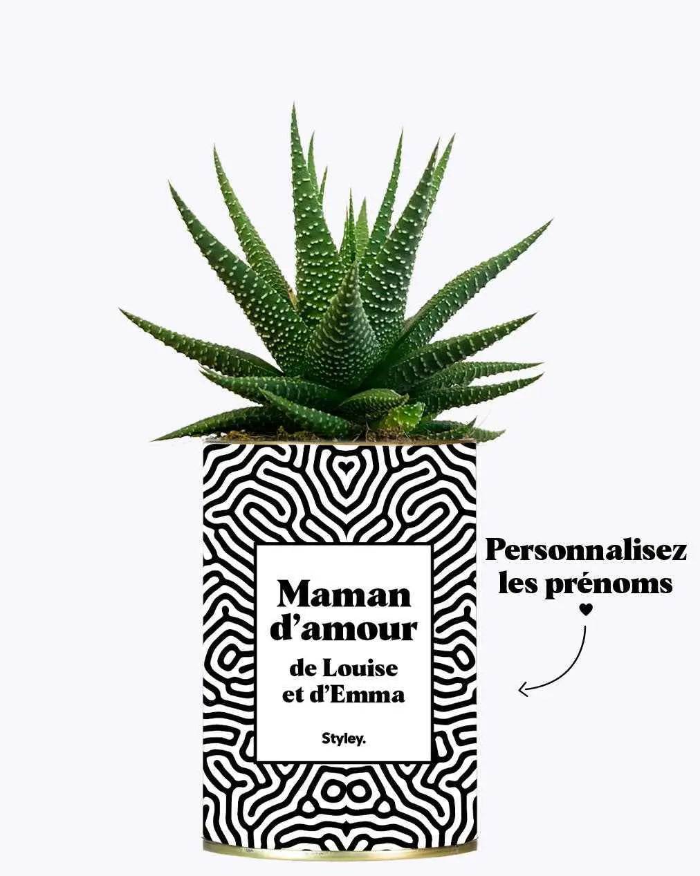Maman d'amour personnalisable - Plante Haworthia varié