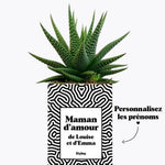 Maman d'amour personnalisable - Plante Haworthia varié