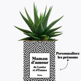 Maman d'amour personnalisable - Plante Haworthia varié