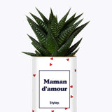 Maman d'amour - Cactus