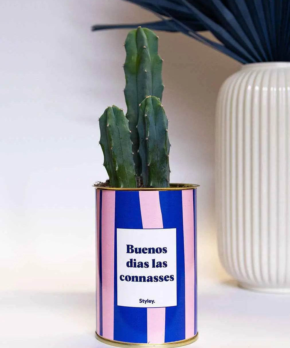 Buenos dias las connasses - Cactus