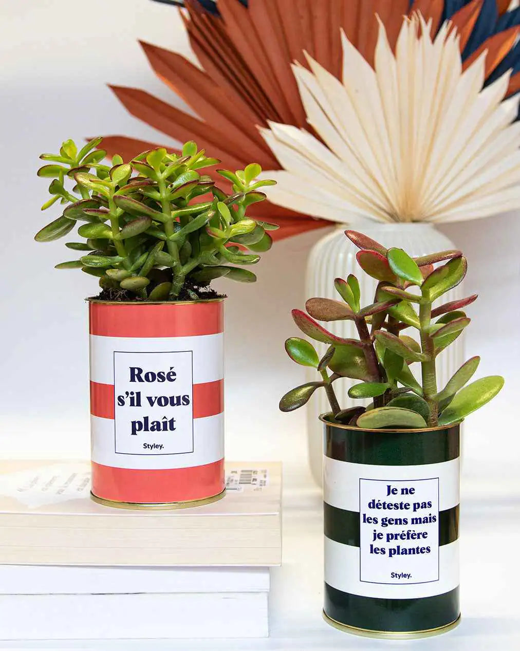 Je ne déteste pas les gens mais je préfère les plantes - Plante