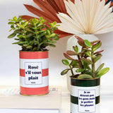 Je ne déteste pas les gens mais je préfère les plantes - Plante