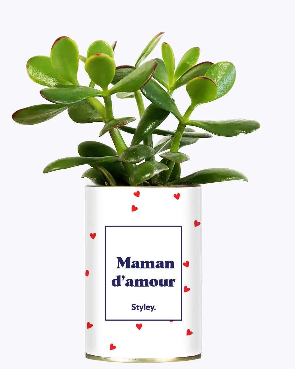 Maman d'amour - Cactus