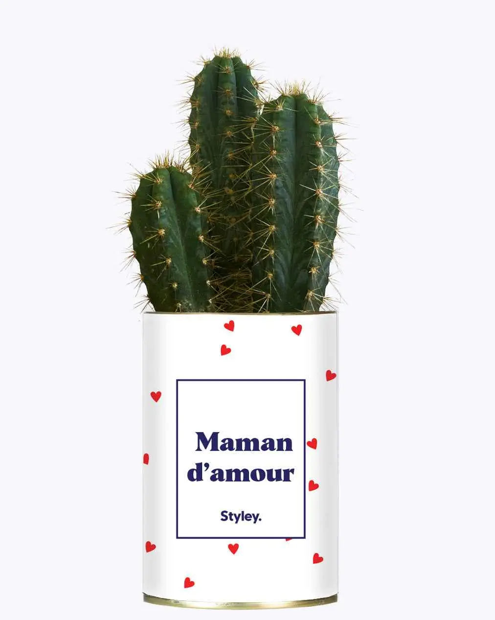 Maman d'amour - Cactus