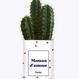 Maman d'amour - Cactus