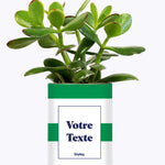 Cactus Mojito - Personnalisable