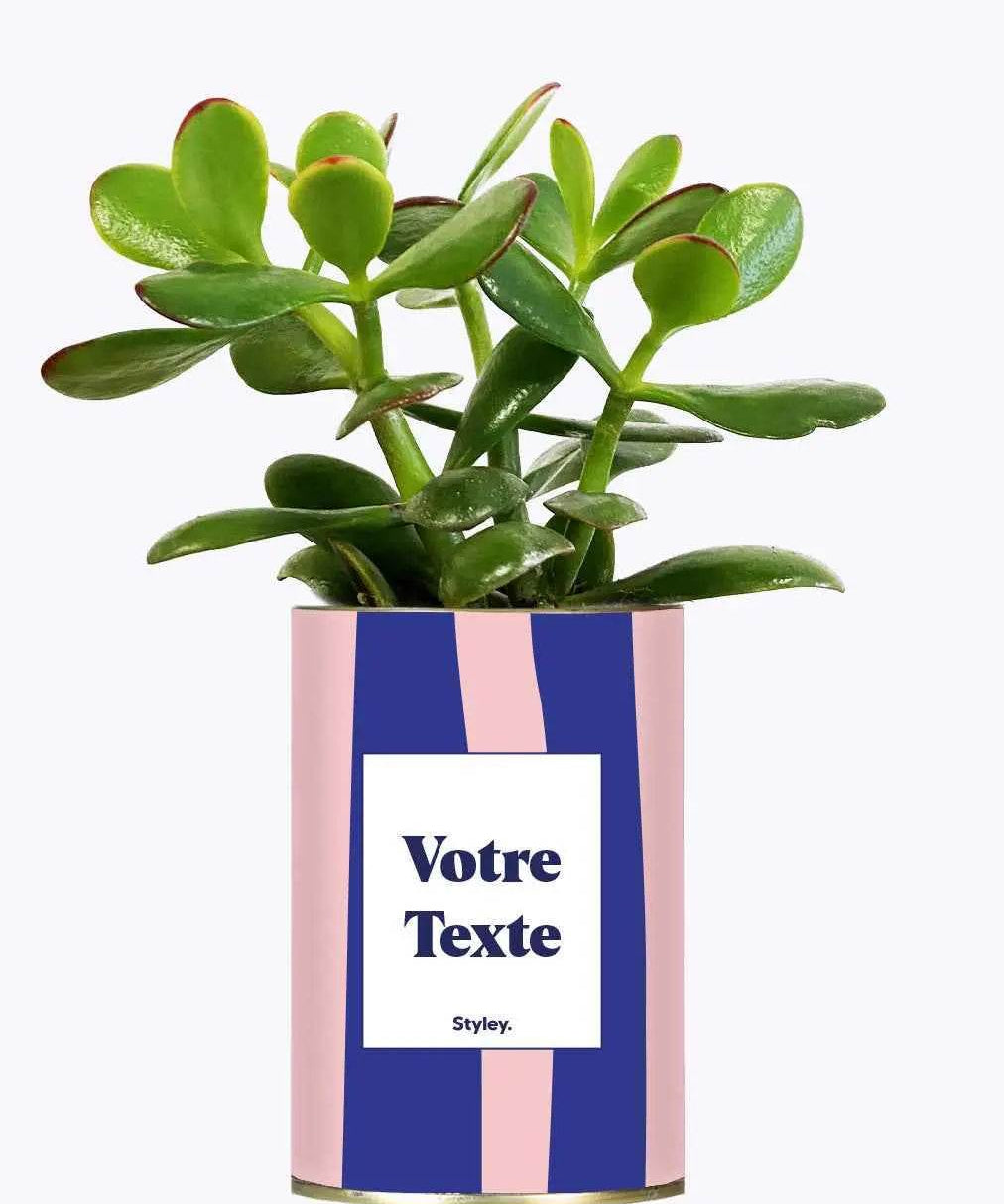 Cactus Parme - Personnalisable