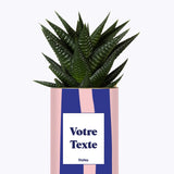 Cactus Parme - Personnalisable