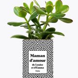 Maman d'amour personnalisable - Plante Crassula varié